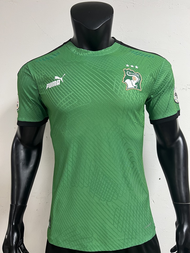 AAA Quality Cote d'Ivoire 24/25 Green Training Jersey(Player)